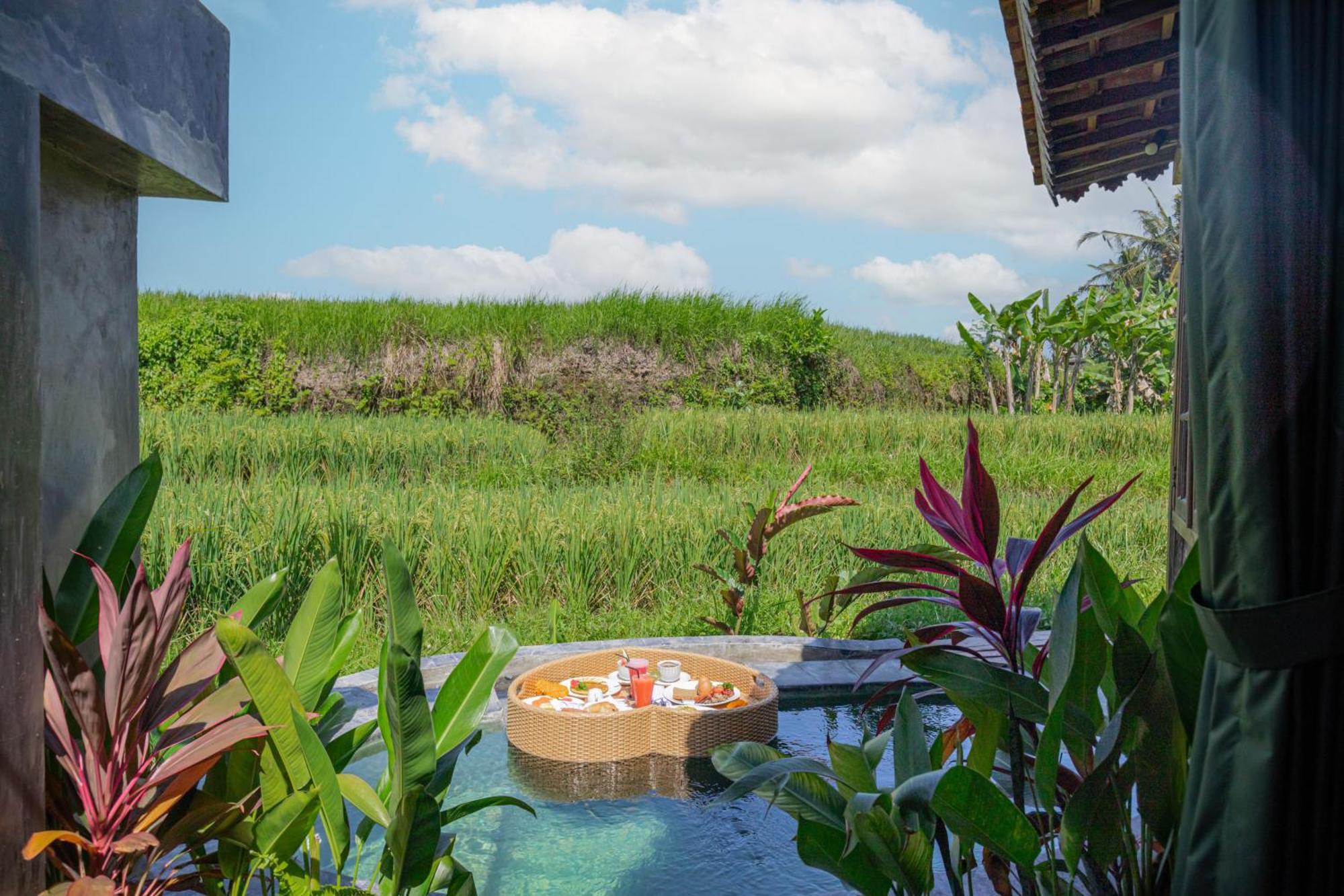 Abian Ubud View Екстериор снимка